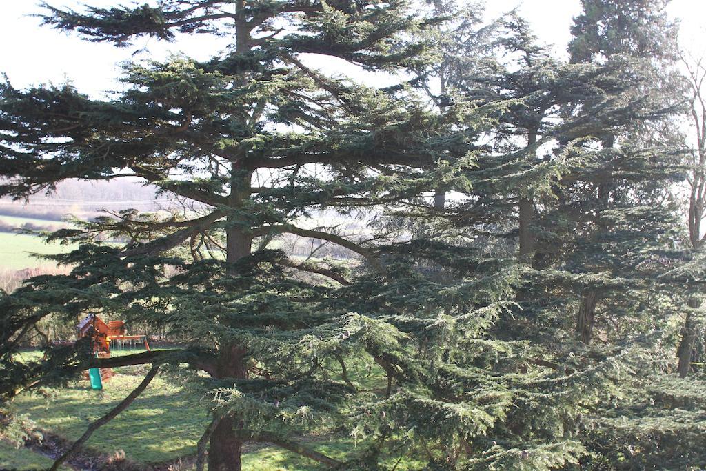 Château de la Folie Trie-Château Quarto foto